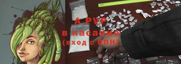 PSILOCYBIN Волосово