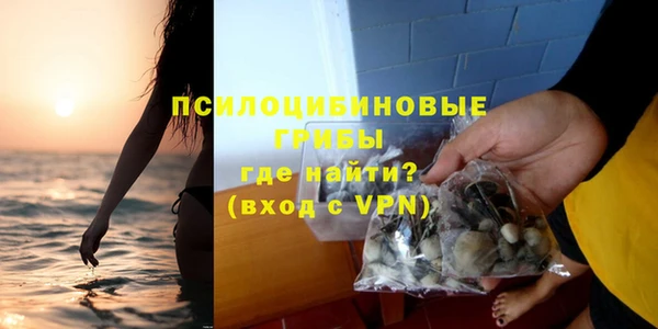 PSILOCYBIN Волосово