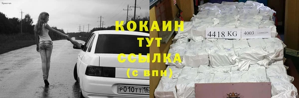 шишки Бугульма