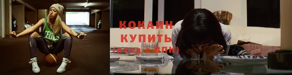 PSILOCYBIN Волосово