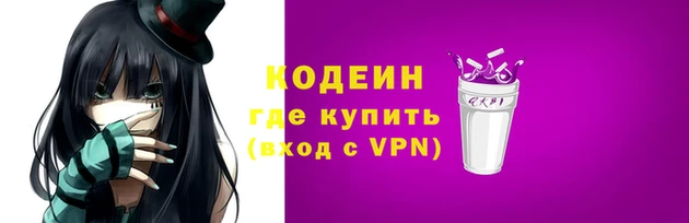 крисы Бородино
