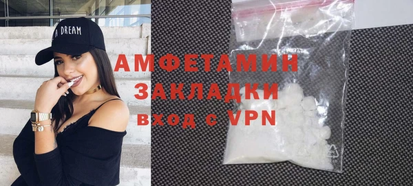 крисы Бородино