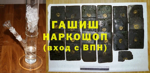 крисы Бородино