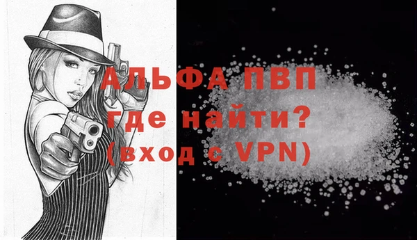 крисы Бородино