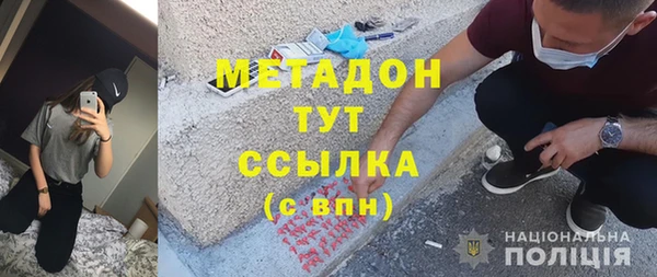 крисы Бородино