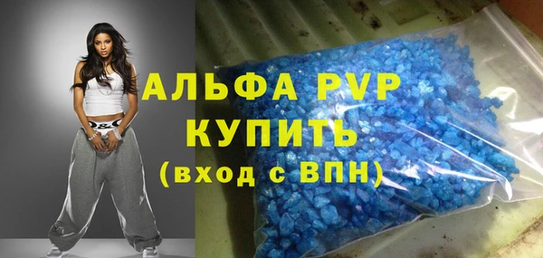 крисы Бородино