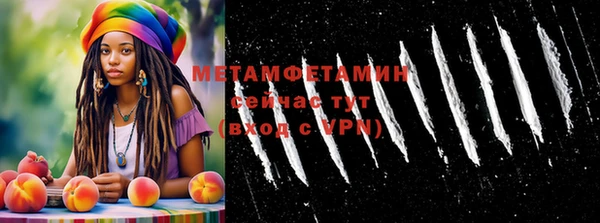 крисы Бородино
