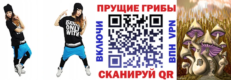 Галлюциногенные грибы Cubensis  купить наркотик  Завитинск 